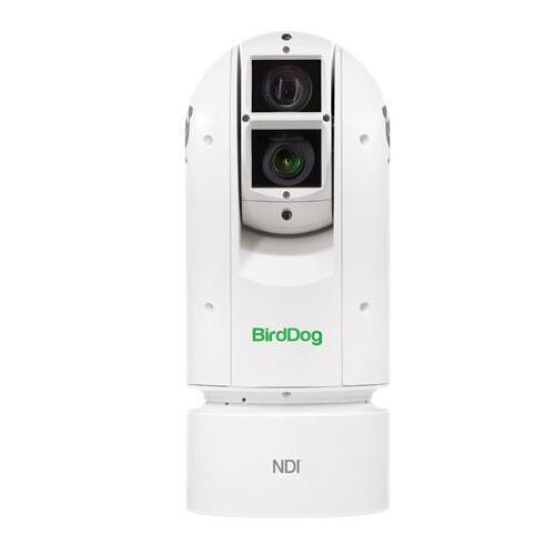 BirdDog Eyes A300 IP67 Extreme Weatherproof Full NDI PTZ Camera (White)