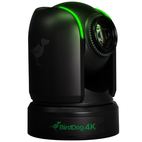 BirdDog P4K. 4K Full NDI PTZ 