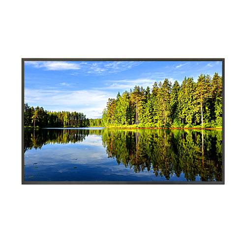 Plura 55" - 4K Broadcast Monitor