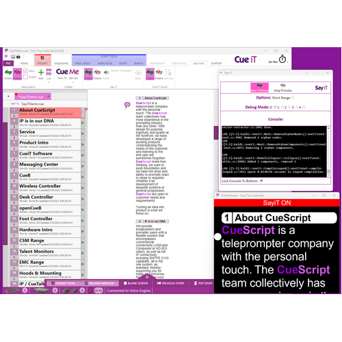 Say iT Speech Prompting Software for Cue iT
